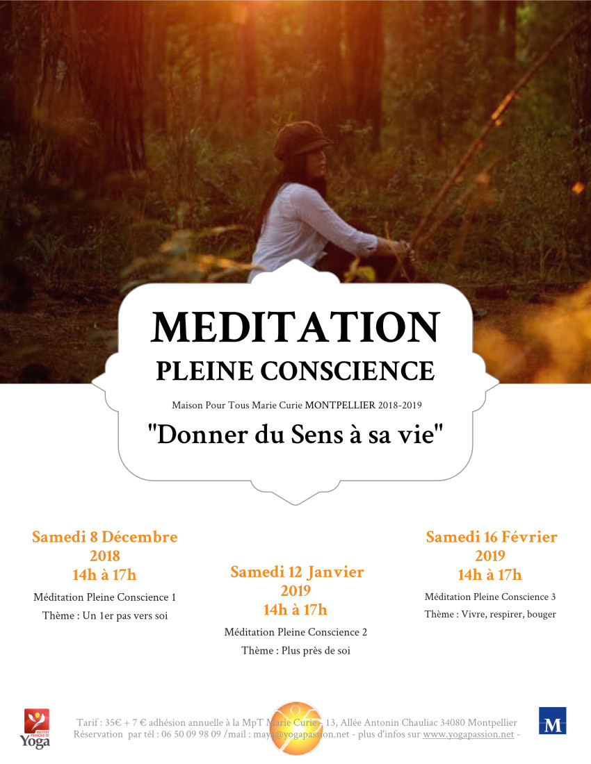 stage meditation pleine conscience